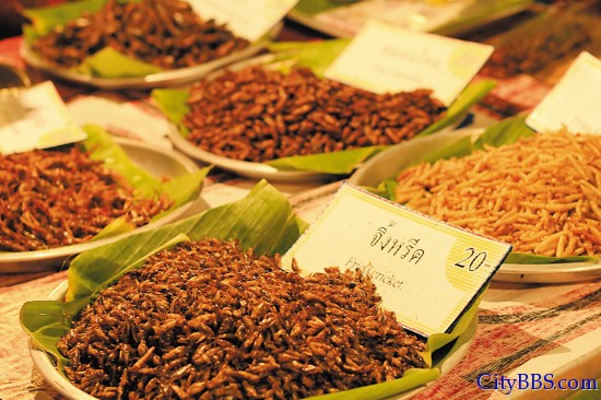 有名的泰北昆虫大餐，你敢下口吗？.jpg