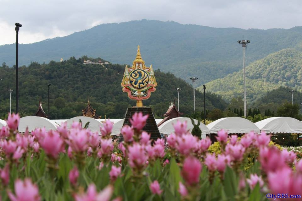 清迈皇家花博会 Royal Flower Flora 
