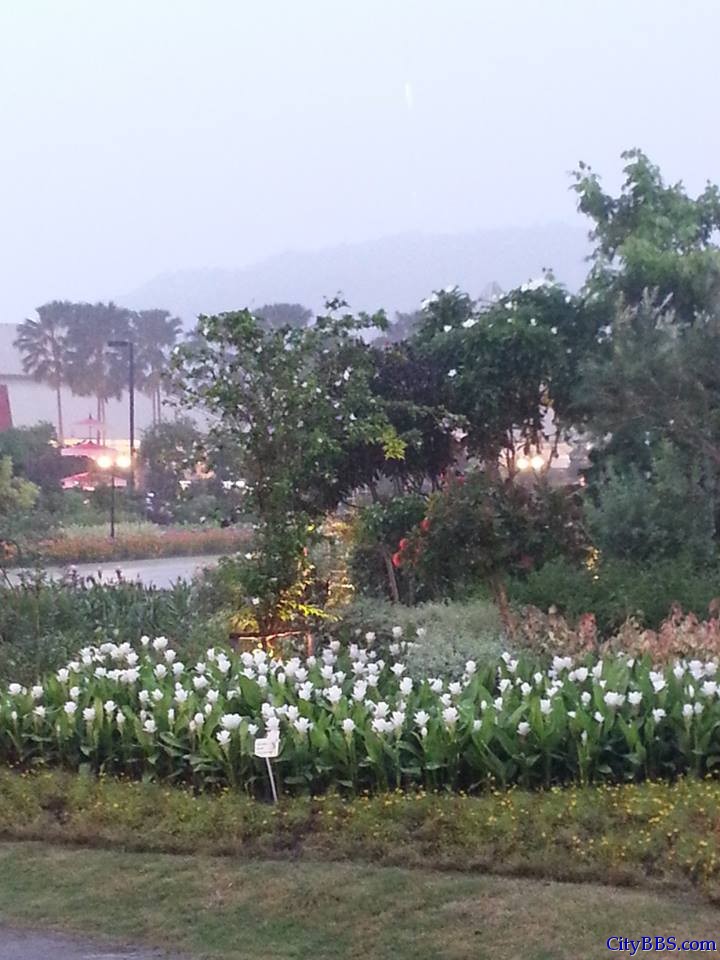 清迈旅游风情_Chiang Mai Travel