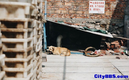 她一直通过味道来了解世界上每一座城市
