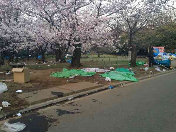 日本赏樱后垃圾遍地 又是中国人干的？