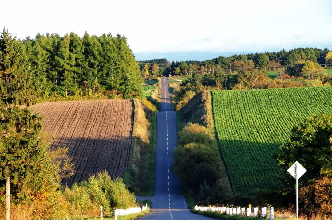 北海道农村.jpg