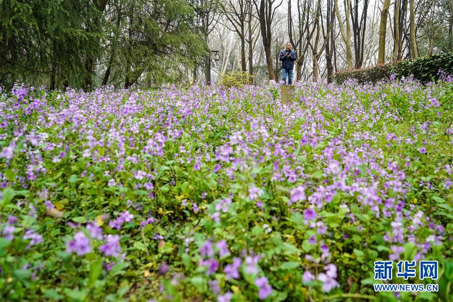 串联城市自然山水人文 共享生态文明建设成果——我国绿道建设发展综述