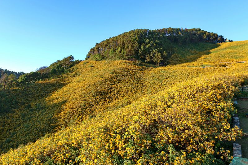 美丽的泰部北部夜丰顺府！
