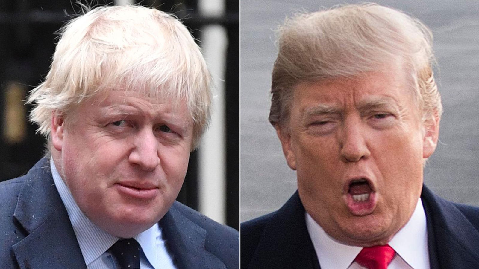外媒评论约翰逊与特朗普的发型十分相似