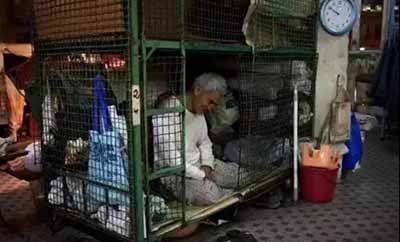 香港教材在批量生产恨国派