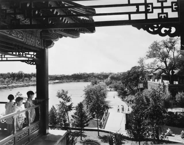 北京众多公园养成记