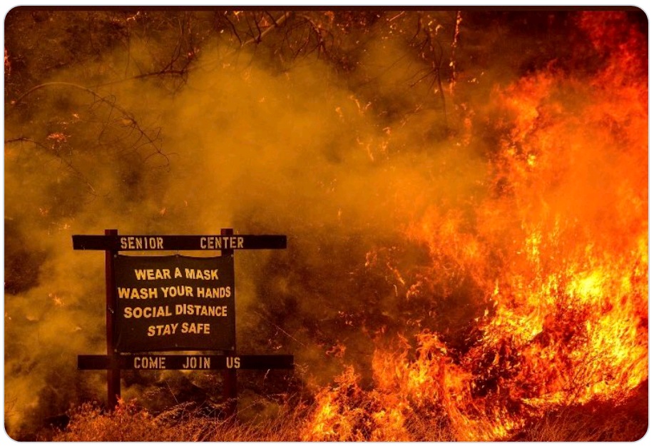 2020年封面照片.jpg