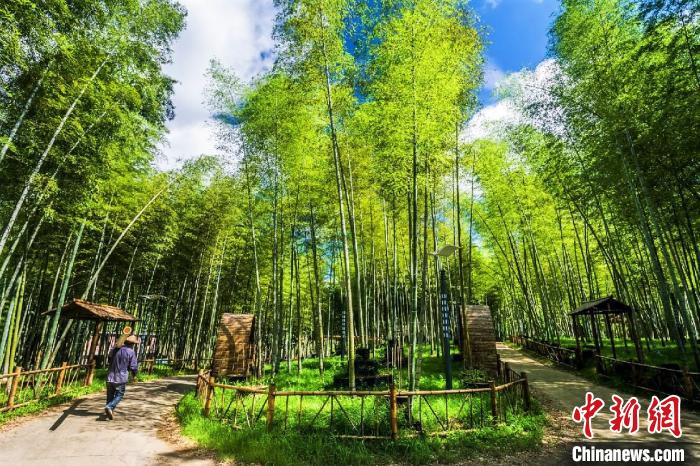 长寿之乡福建柘荣2.jpg