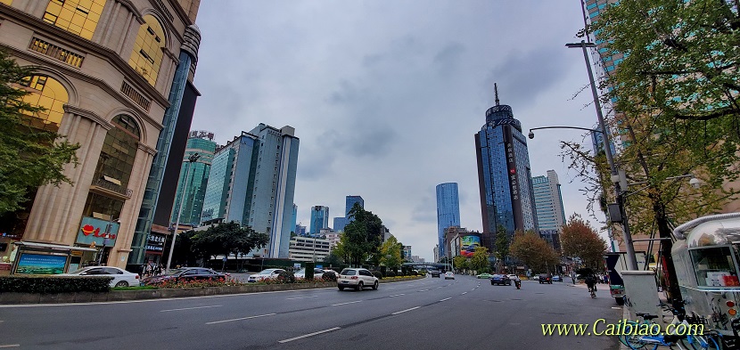 2020_Nov_ChengDu_ (36).JPG
