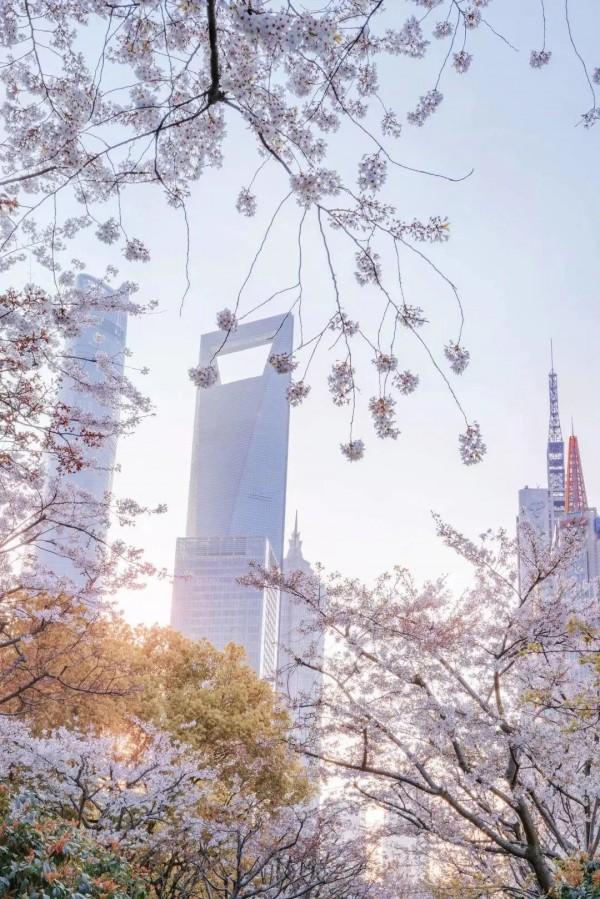 上海最美最长地铁站