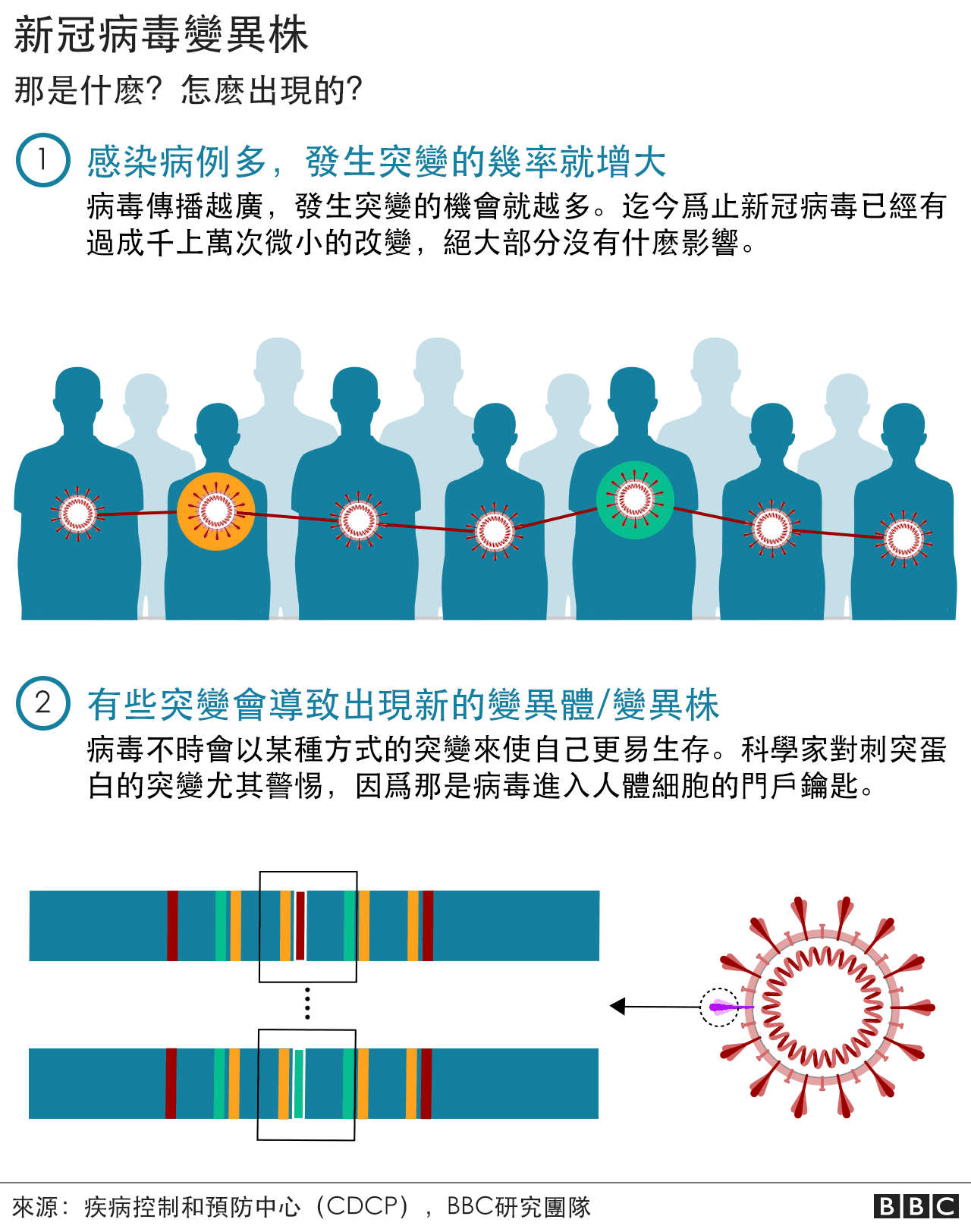 变异毒株如何出现的