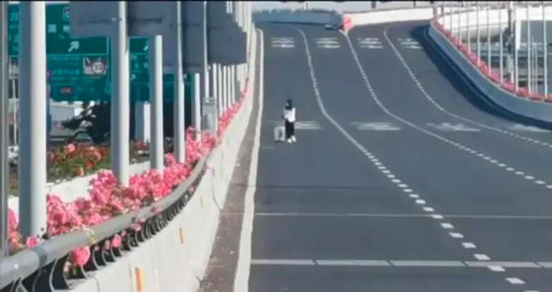 逃离了上海的人