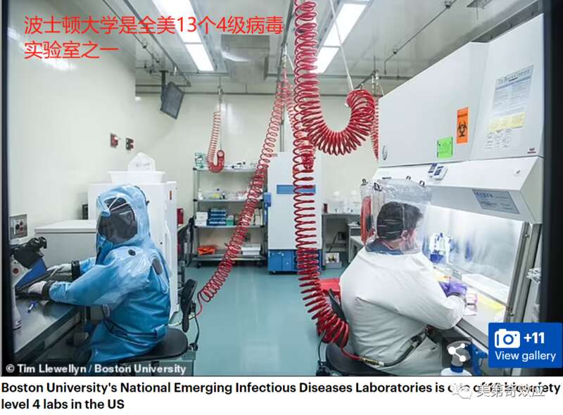 波士顿大学这项实验，受到了全世界的谴责。.jpg