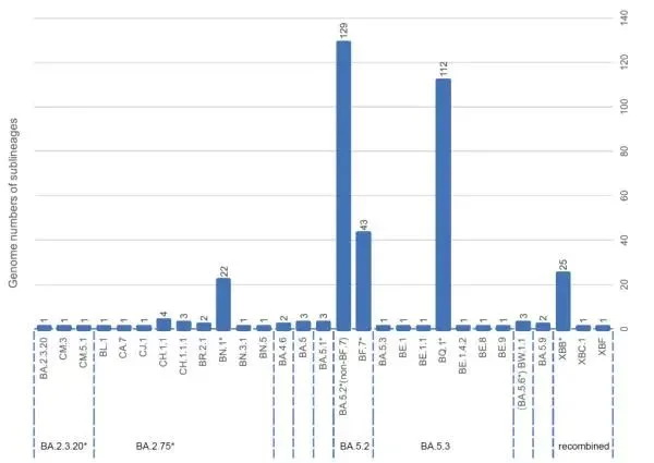 上海近期新冠病毒基因测序结果
