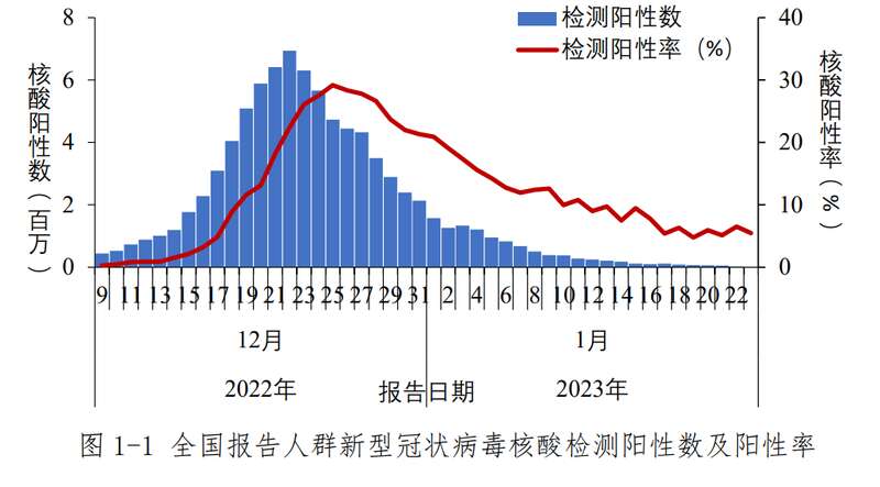 全国新型冠状病毒感染诊疗和监测数据概述