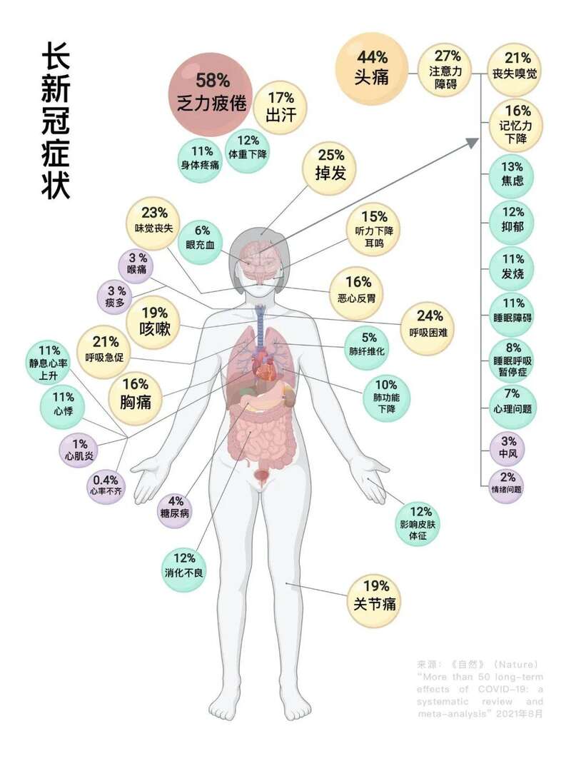 长新冠.jpg
