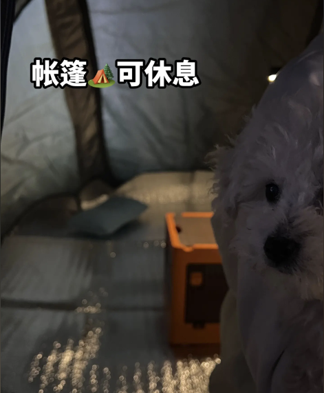 经营者王经理告诉橙柿互动，“我们的场地有限，这次准备了五六个帐篷、10多个睡袋，还把家里被子拿过来救急 ...