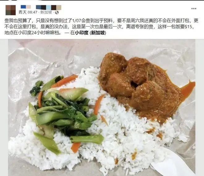 一菜一肉，咖喱鸡肉 一点点芥蓝要15新币，约合￥73