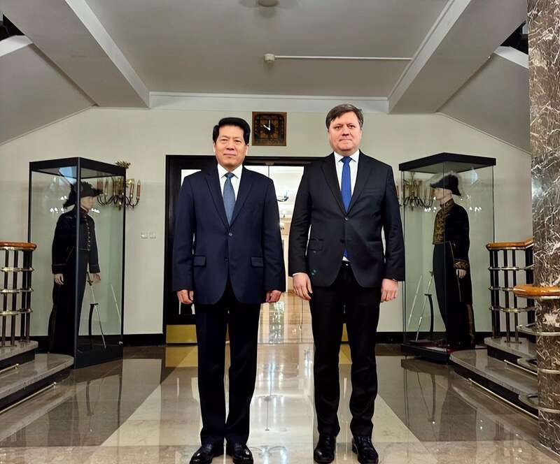 李辉大使抵达波兰后，与波兰副外长格尔维尔举行会谈