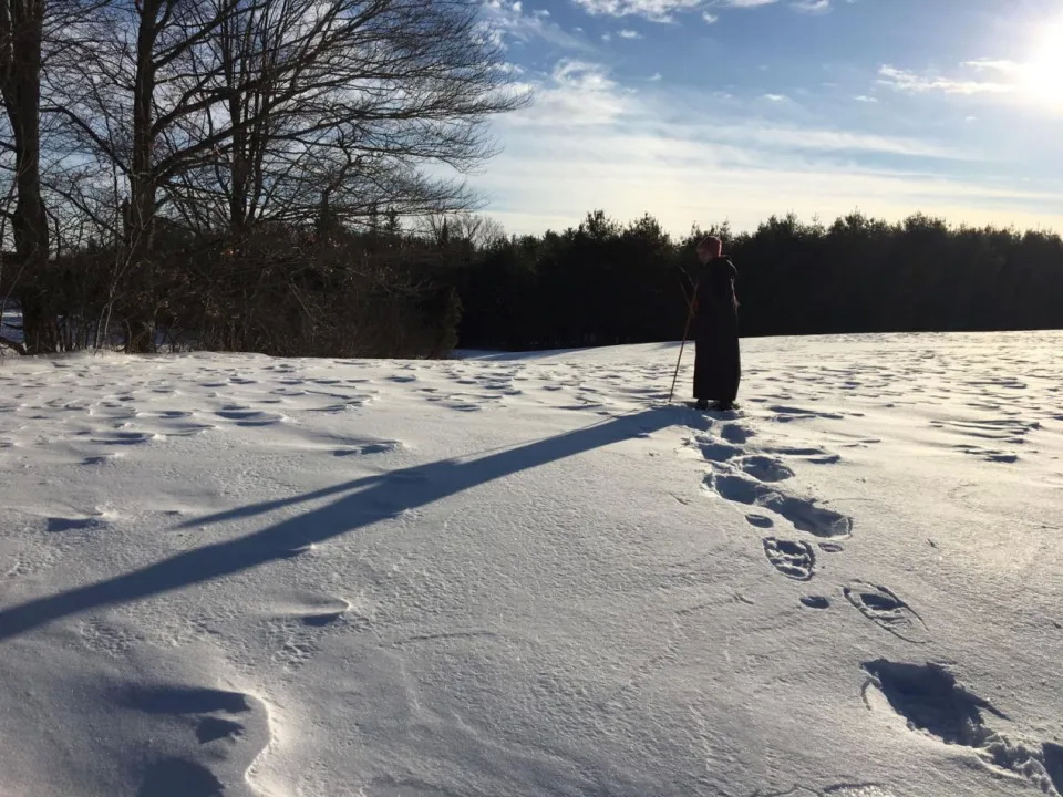 大雪覆盖了缅因州的旷野与森林