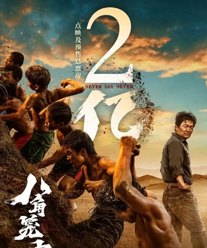 热门国产剧情片《消失的她》，《八角笼中》