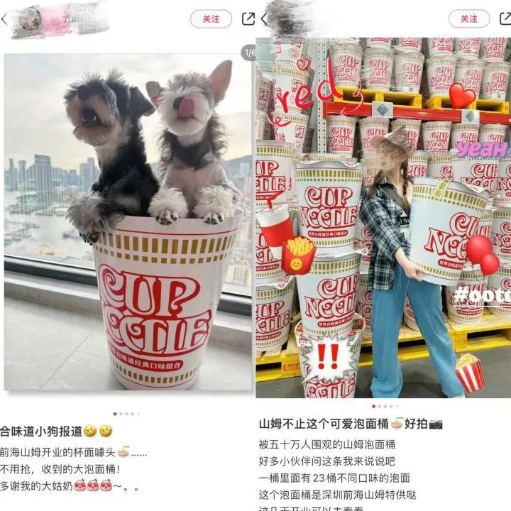 168元的泡面桶，半天内就售罄了。而在二手平台上，已被炒到500元左右