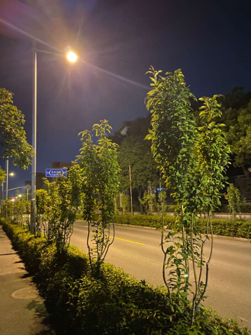 疫情期间的上海