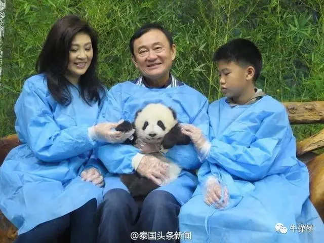 他信和英拉