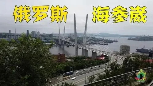 俄罗斯在开放海参崴港口的问题上已经作出了明显的策略调整