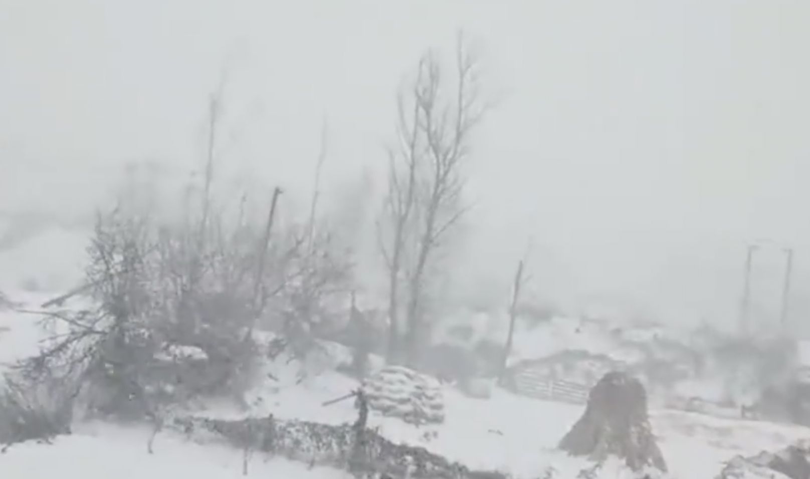 东北风雪有多猛