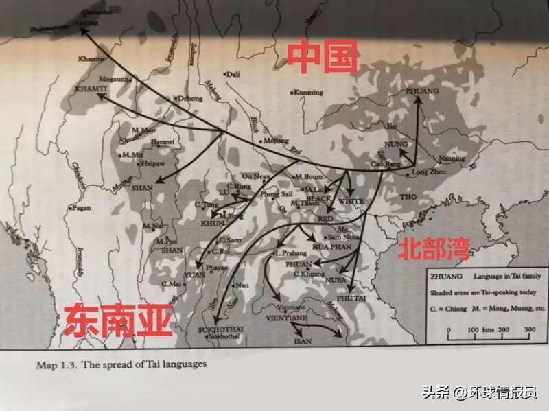 泰族起源于中国西南部