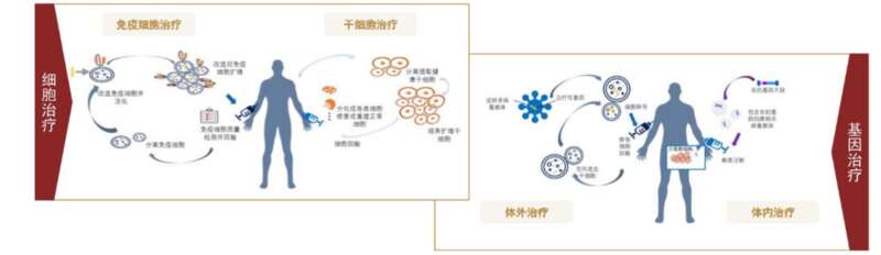 CAR-T疗法与基因疗法