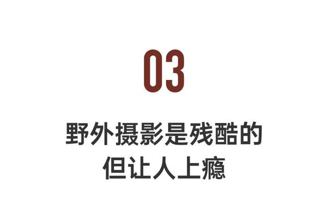 团队在高山草甸上拍摄