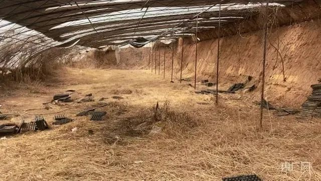 邯郸三名初中生杀人埋尸案