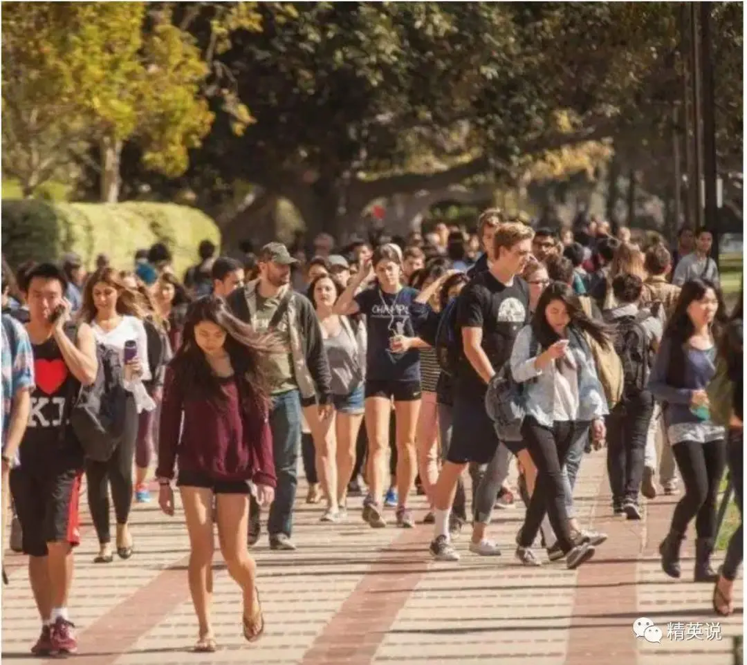 校园里的同学不是赶着去图书馆、赶着去上课，就是赶着去考试