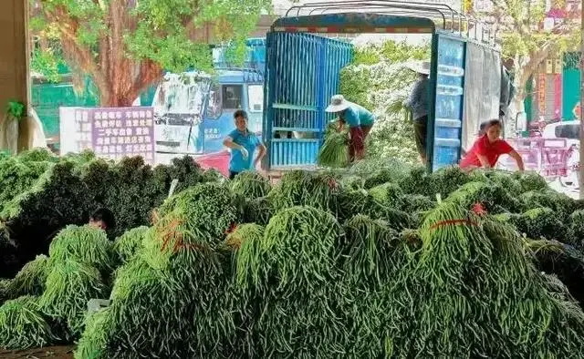 “菜篮子”工程